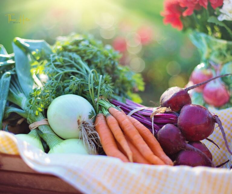 ăn gì để kinh nguyệt ra đều đặn